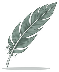 Obraz premium Elegant grey feather illustration graphic design element for writing concepts
