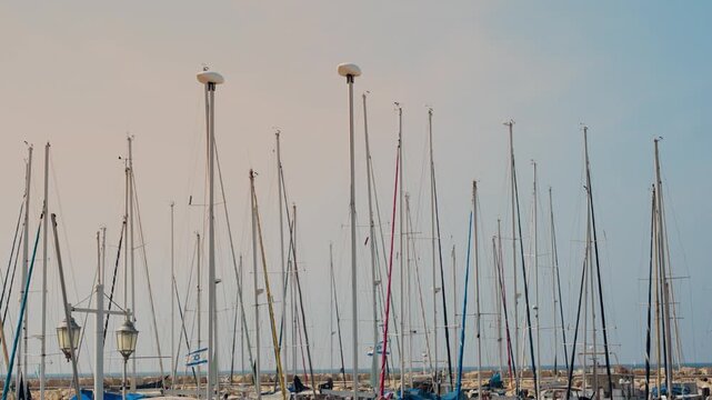 Sailboat masts in Tel Aviv Marina during hot sunny day in Israel by the sea. Boats moored in docks by Mediterranean Sea along the coast of Israel in Tel Aviv Yafo city. Israeli flags waving in wind