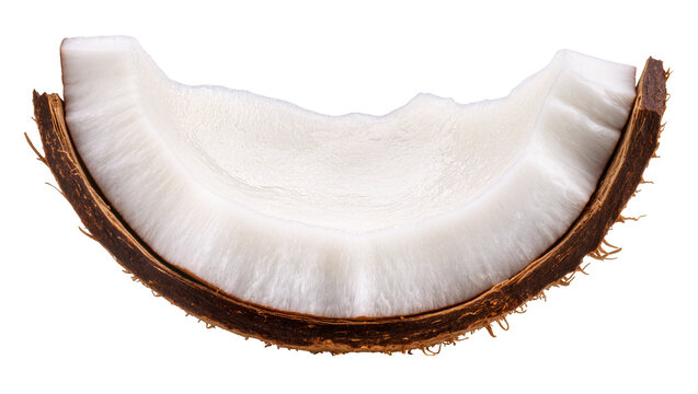 Sliced Coconut with White Flesh and Dark Brown Husk