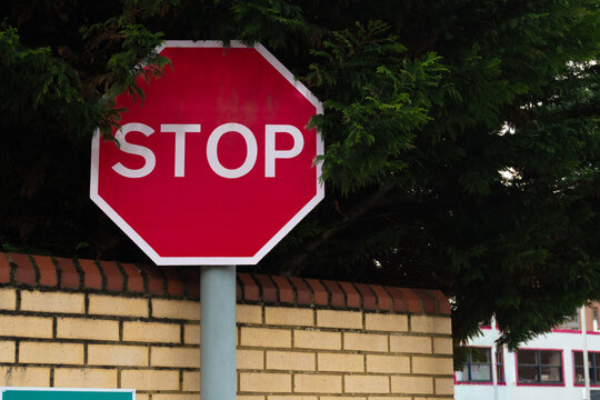 Horizontal image of a red and white stop sign surrounded by a green tree and bricks