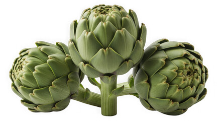 Fototapeta premium Three fresh green artichokes on stem isolated on transparent background
