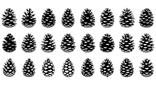 Multiple black pinecones arranged in rows on white background for decoration or design