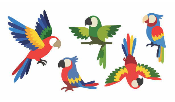 Colorful tropical parrot vector set in cartoon style with wings and feathers isolated on white