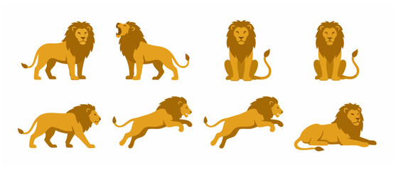 Obraz premium Lion vector set in various poses, walking, jumping, sitting and roaring. Isolated flat style illustration of big cats collection for animal wildlife design projects and infographic graphic elements.