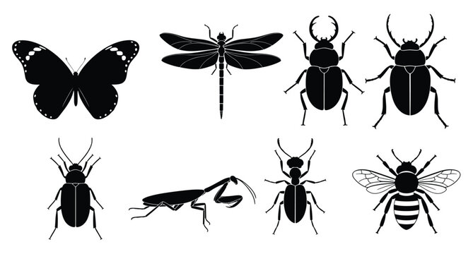 Insect icon set butterfly dragonfly beetle mantis ant bee bug black white vector web ui