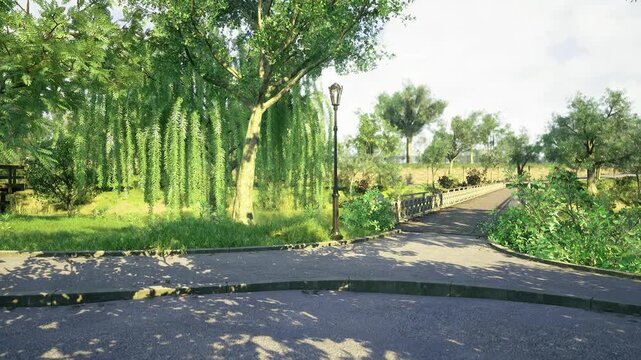 Winding pathway under willow canopy with scattered sunlight and leafy border, evocative route for morning wellness walks, mindful runs, and nature immersion