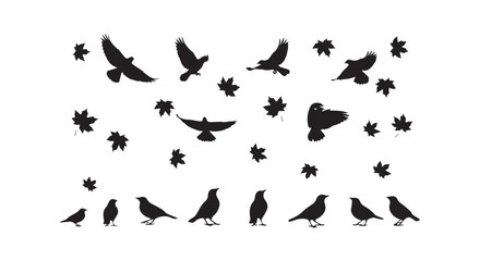 Obraz premium Abstract black bird silhouettes arranged in a dynamic, scattered pattern against a white background creating a sense of motion