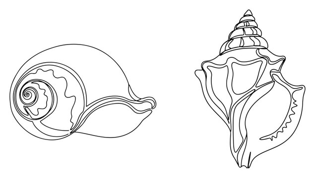 Sea shells and sacred conch shankha in clean minimalist line art style