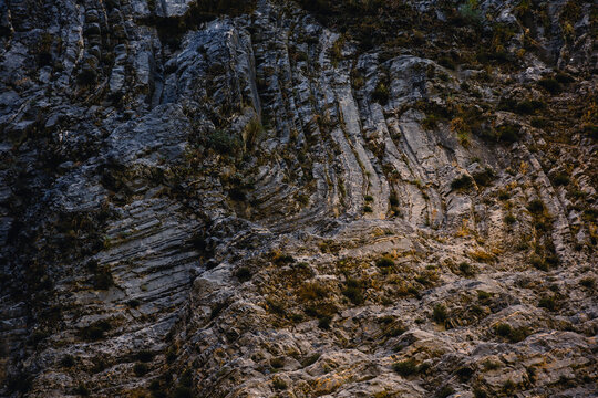Kontrastreiche goldschimmernde Felswand mit Moos bewachsen