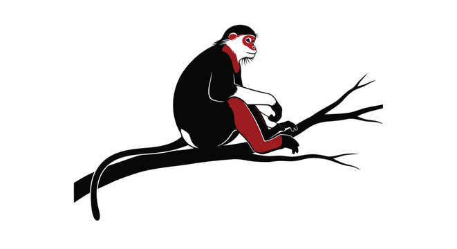 Red shanked douc monkey sitting on tree branch in black and white