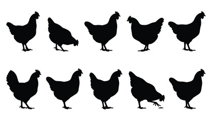 Minimalist black silhouettes of chickens in varied poses, standing and pecking, perfect for farm animal vector stock art © Rashedul Islam