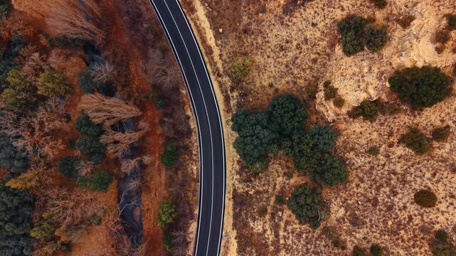 Top down aerial view of asphalt road and river. Vertical perspective of a winding road separating a dry riverbed with trees from arid scrubland in Spain.
