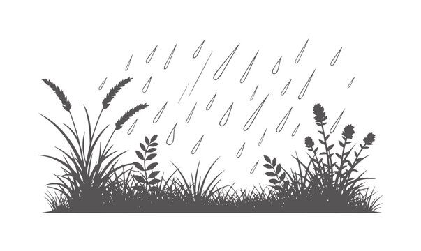 Dark silhouette of grass and plants during a rain shower