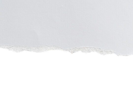 Realistic torn paper edge. Ripped paper mockup isolated on transparent background. Horizontal piece of white rip paper strip. message template, text, Design elements, PNG