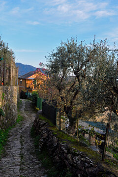 village of houses in Pieve Ligure, Italy