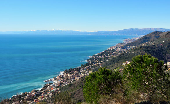 panorama of the seaside village of Bogliasco, located on the eastern Ligurian Riviera italy
