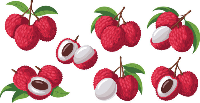 Large collection of fresh red lychee fruit vectors featuring whole bunches with green leaves and peeled halves showing white pulp and seeds.Large collection of fresh red