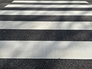 Fototapeta premium Pedestrian crossing close-up