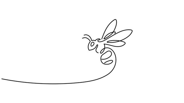 Self drawing animation of one continuous line draw bee insect. Animated single line wasp logo, Animated self drawing of one continuous line draw elegant bee for company logo identity. Organic honey