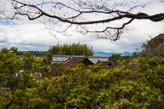 Traditional Japanese Temple Roofs Framed by Lush Garden Foliage