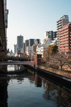 Urban Canal with Cherry Blossoms and Modern Buildings in Tokyo