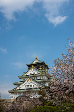 Osaka Castle with Cherry Blossoms (Sakura) in Spring, Japan