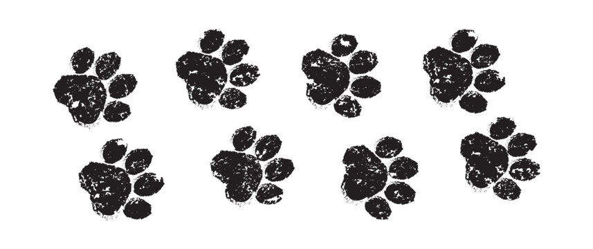 Paw print dog or cat foot, pet stamp. Animal paint footprint, cute doodle. Black grunge texture silhouette isolated on white background. Cartoon crayon icon, Simple vector illustration