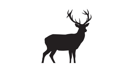 Majestic black horse rearing with flowing mane and tail captured in a dynamic pose © SmartVector Studio