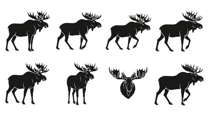 Fototapeta premium Moose Silhouette Collection: Various Poses and Head Detail