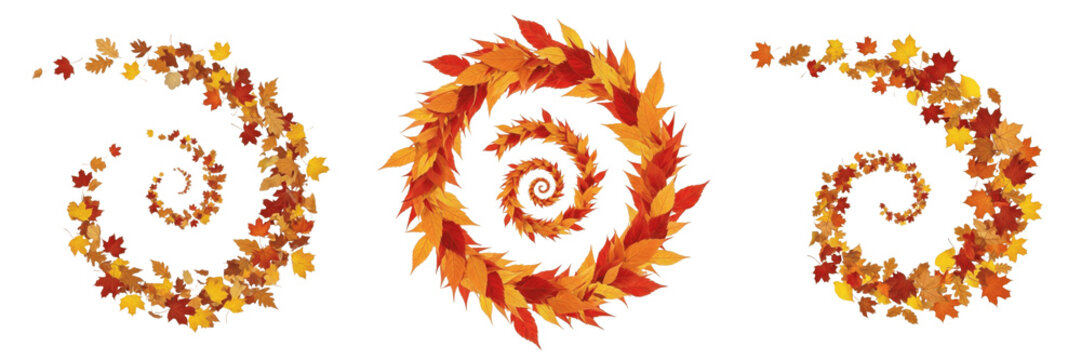 Set of autumn fallen leaves spiral and vortex design elements isolated png