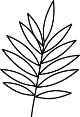A simple black and white line drawing of a tropical palm leaf isolated on a solid white background © REDWAN