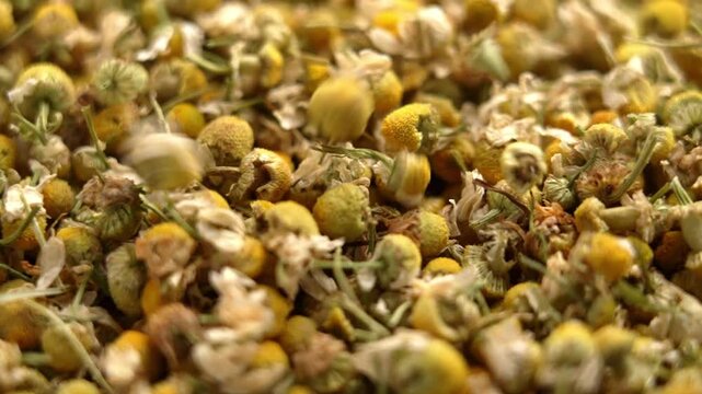 Organic dried matricaria chamomilla blossoms falling in slow motion with rotation. Therapeutic ingredient of herbal medicine