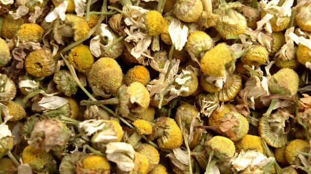 Macro shot of dried chamomile flowers. Natural sedative and anti-inflammatory remedy ingredient. Organic medicinal herbs. Rotation