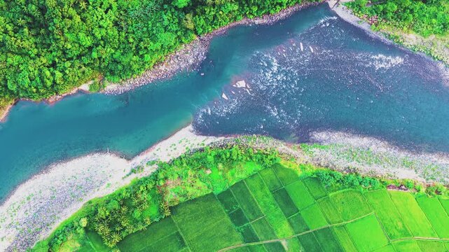 Scenic Bird's eye Drone Video of the meandering blue Agos River and Rice fields near Infanta, Quezon Province in Luzon, Philippines