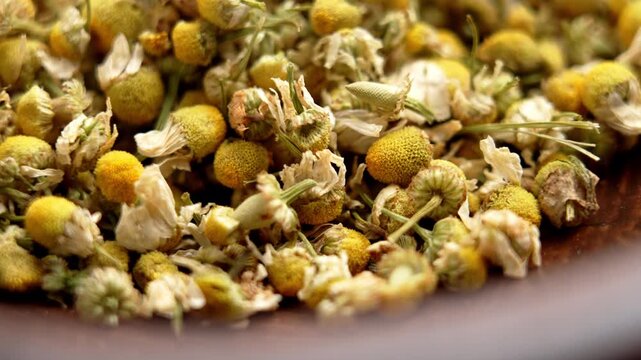 Organic dried matricaria chamomilla blossoms in wooden bowl. Therapeutic ingredient of herbal medicine. Macro shot. Rotation