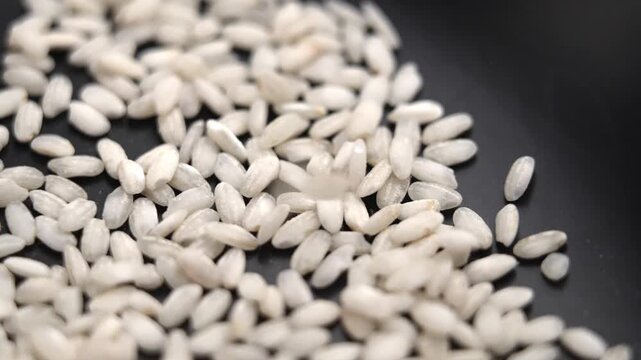 Closeup of arborio risotto rice grains falling onto dark surface in slow motion. Uncooked short grain italian ingredient