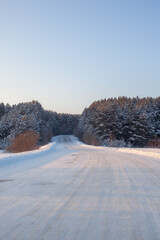 Obraz premium Snow-covered road winding through a winter forest with tall evergreen trees and clear blue sky in a tranquil rural landscape