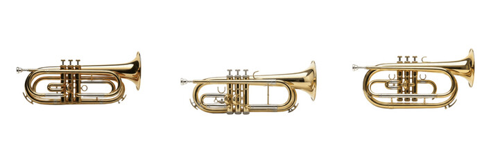 Obraz premium Set of Professional Gold Brass Cornet Musical Instruments Isolated on White
