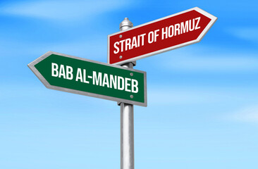 Obraz premium Directional road signs pointing towards Strait of Hormuz and Bab al-Mandeb under clear blue sky backdrop