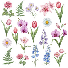 Fototapeta premium A colorful assortment of stylized watercolor flowers in delicate pastel hues