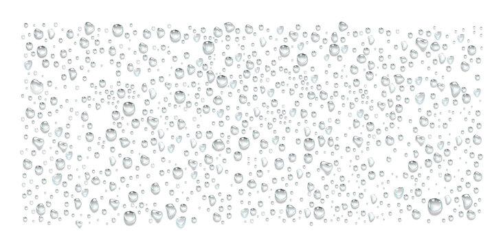 Abundant clear water droplets of various sizes scattered randomly across a white background representing condensation or rain transparent background