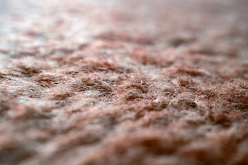 Detailed close up photograph of a thick shaggy brown carpet surface showing individual fibers and strands bathed in soft natural light providing a cozy warm feel © Buğra Kaan Ersoy