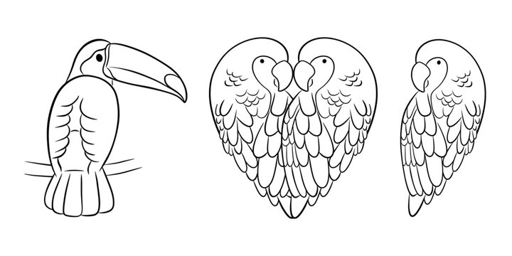 Hand-drawn vector illustration of a bird.