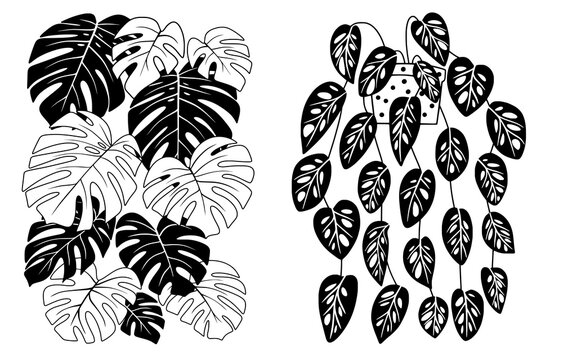 Vector illustration of an abstract plant background.