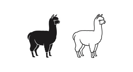 Obraz premium Alpaca vs Llama: Identifying Key Differences Vector