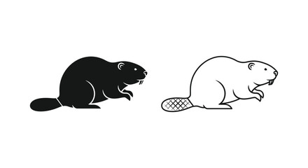 Beavers and Their Distinctive Features Guide Vector © Sultan