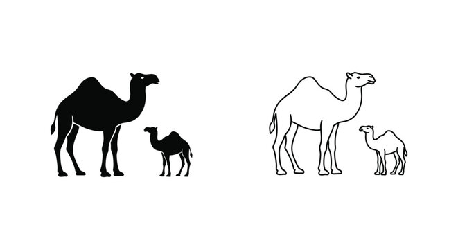 Camel Families: Dromedary Parent-Child Comparison Guide Vector