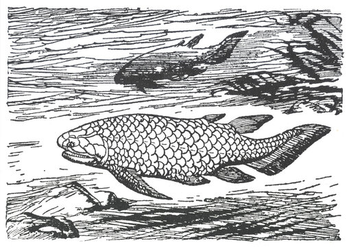 Holoptychius. Illustration of a Dunkleosteus prehistoric fish swimming in ancient waters