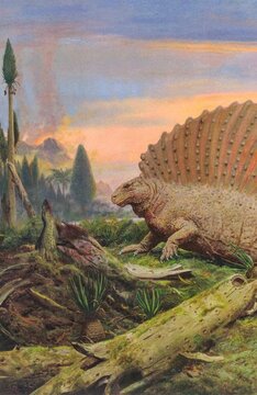 Edaphosaurus cruciger. Dimetrodon prehistoric reptile with sail on its back in ancient landscape. A Dimetrodon, an extinct synapsid, walks through a primeval forest with volcanic mountains in the