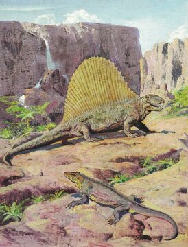 Dimetrodon and Varanosaurus. Prehistoric Dimetrodon and smaller reptile in a rocky landscape with waterfall. An artistic depiction of ancient life featuring a Dimetrodon with its distinctive sail and